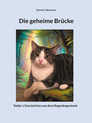 cover image of Die geheime Brücke